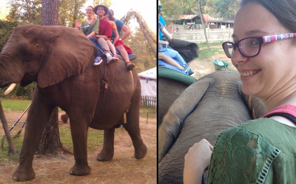 Elephant ride!